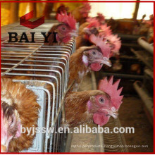 Factory Design Chicken Egg Laying Cages